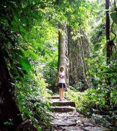 cuc phuong national park trekking