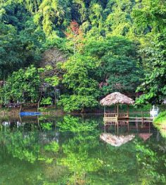 mac lake in cuc phuong