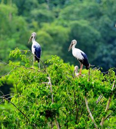 thung nham bird park