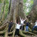 cuc phuong national park trekking