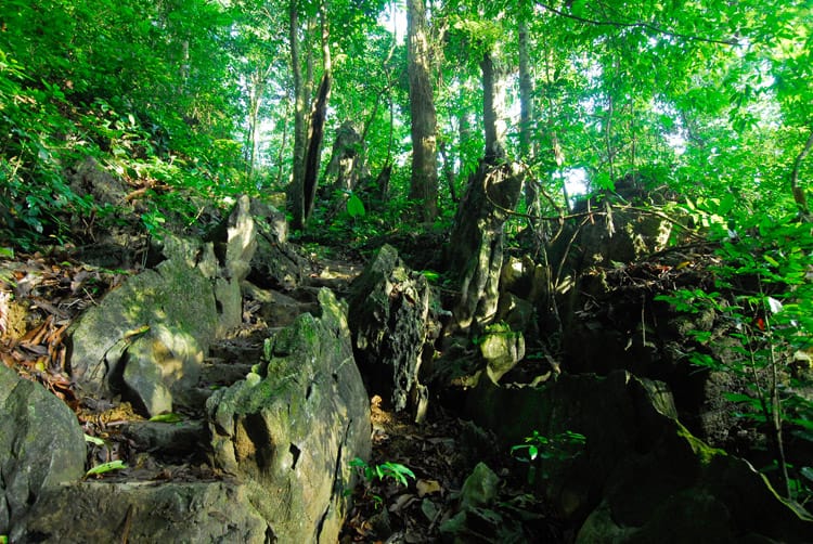 may bac peak cuc phuong park