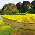 tam coc rice fields