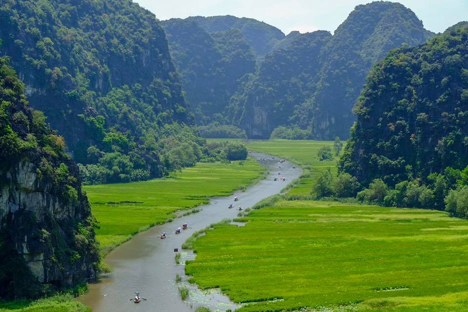 tam coc rice fields