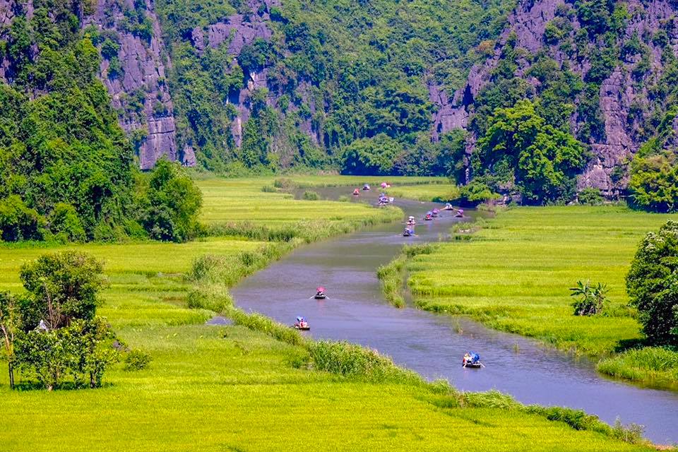 tam coc rice fields